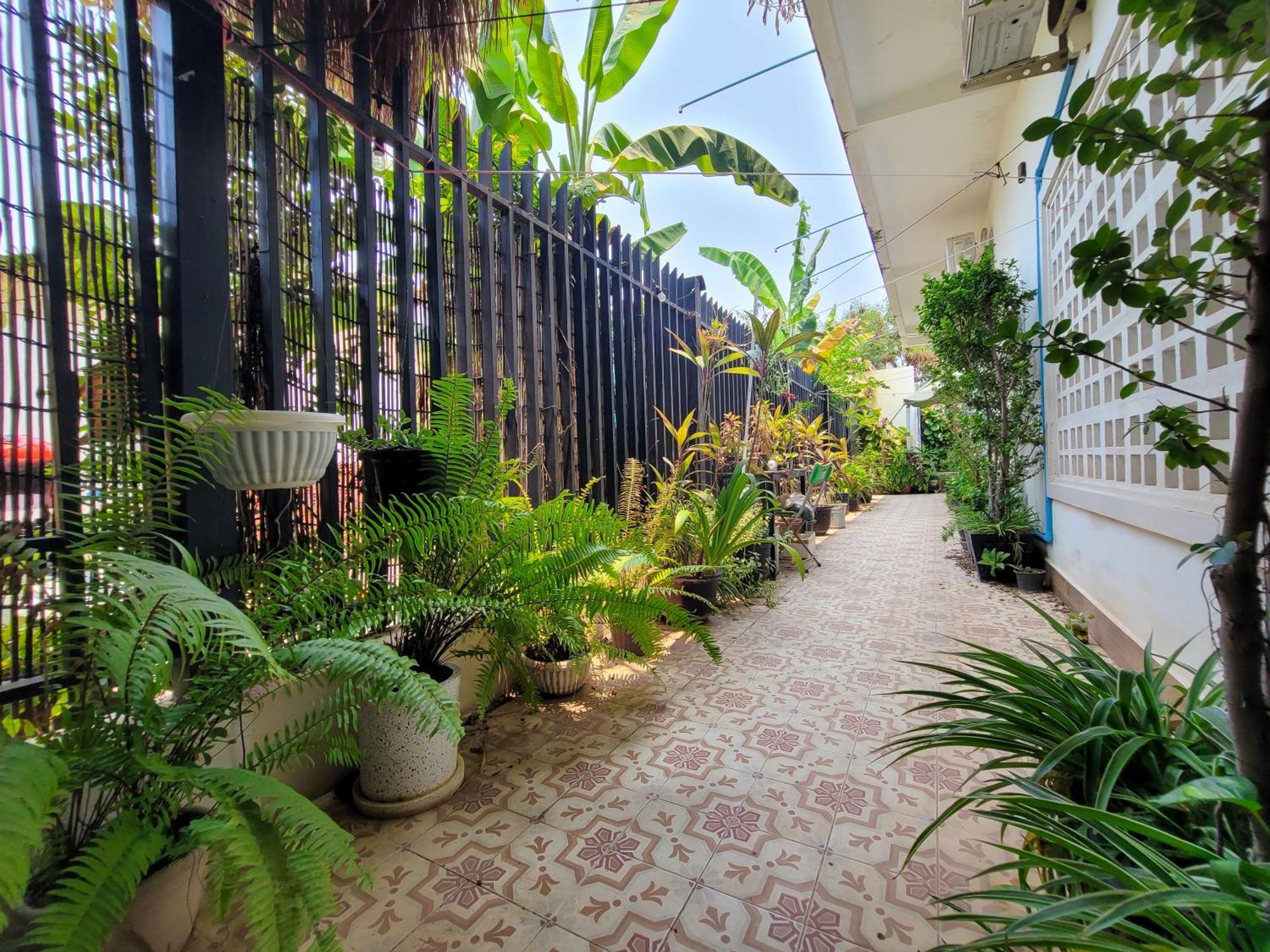 Bed & Bedzzz Pansiyon Siem Reap Dış mekan fotoğraf